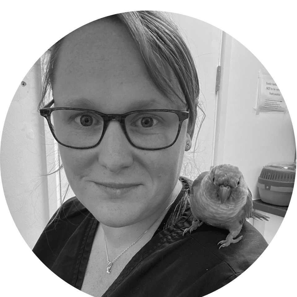 Centralcpd On demand Centralcpd On demand